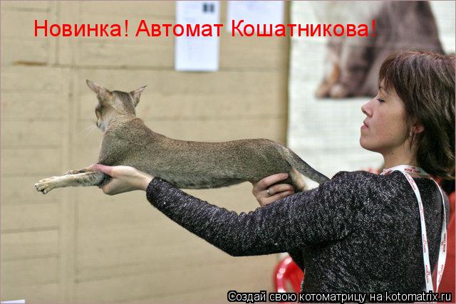 Котоматрица: Новинка! Автомат Кошатникова!
