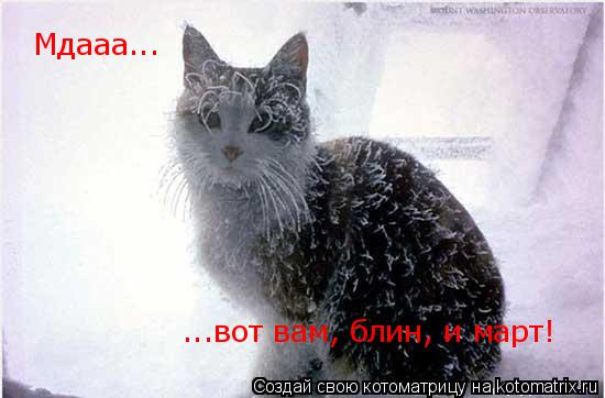 Котоматрица: Мдааа... ...вот вам, блин, и март!