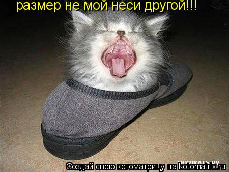 Котоматрица: размер не мой неси другой!!!