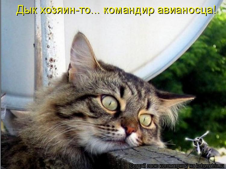 Дык хозяин-то... командир авианосца!... Котоматрица: Дык хозяин-то... командир авианосца!