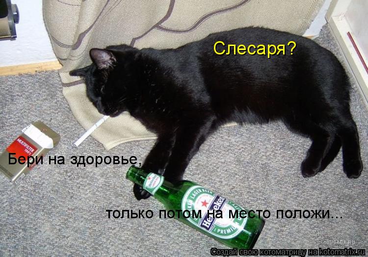 Котоматрица: Слесаря? Бери на здоровье, только потом на место положи...