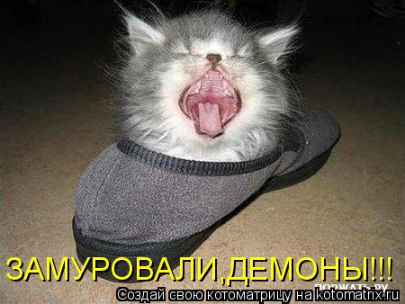 Котоматрица: ЗАМУРОВАЛИ,ДЕМОНЫ!!!