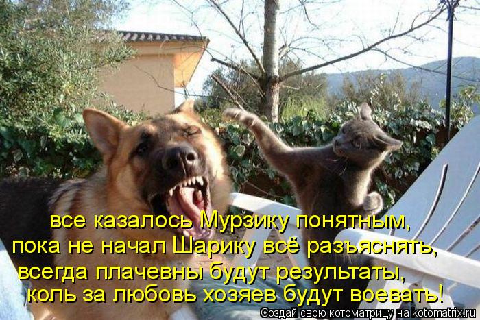 Котоматрица: пока не начал Шарику всё разъяснять, всегда плачевны будут результаты, коль за любовь хозяев будут воевать! все казалось Мурзику понятным,