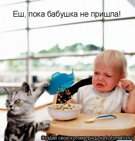Котоматрица: Еш, пока бабушка не пришла!