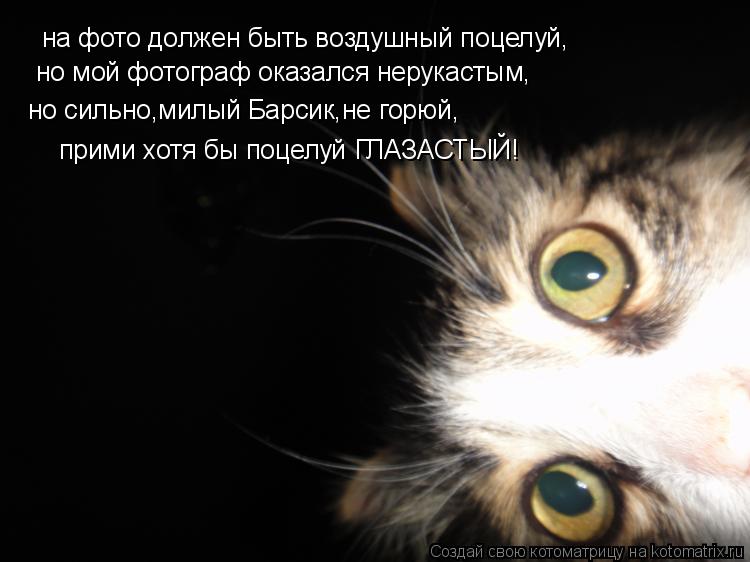 Котоматрица: на фото должен быть воздушный поцелуй, но мой фотограф оказался нерукастым, но сильно,милый Барсик,не горюй, прими хотя бы поцелуй ГЛАЗАСТЫ