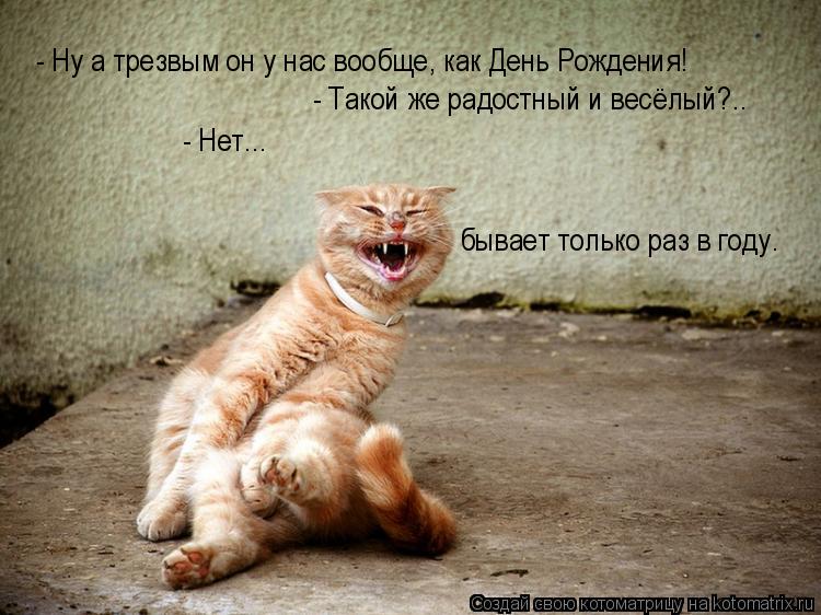 Котоматрица: - Ну а трезвым он у нас вообще, как День Рождения! - Такой же радостный и весёлый?.. - Нет... бывает только раз в году.