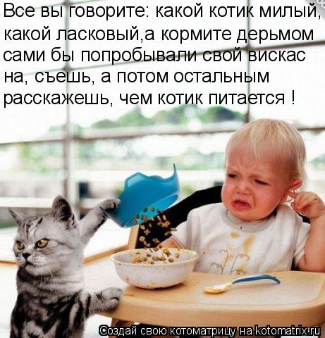 Котоматрица: Все вы говорите: какой котик милый, какой ласковый,а кормите дерьмом сами бы попробывали свой вискас на, съешь, а потом остальным расскажешь