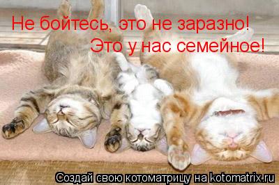 Котоматрица: Не бойтесь, это не заразно! Это у нас семейное!
