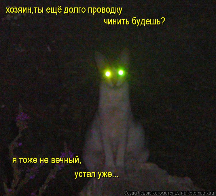 Котоматрица: хозяин,ты ещё долго проводку чинить будешь? я тоже не вечный, устал уже...