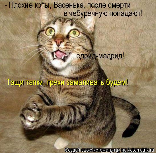 Котоматрица: - Плохие коты, Васенька, после смерти в чебуречную попадают! ...едрид-мадрид! Тащи тапки, грехи замаливать будем!