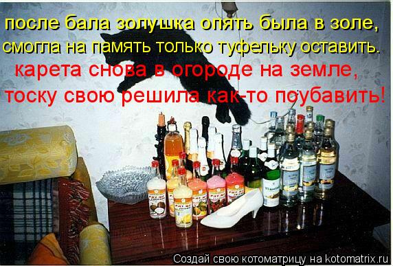 Котоматрица: после бала золушка опять была в золе, смогла на память только туфельку оставить. карета снова в огороде на земле, тоску свою решила как-то по