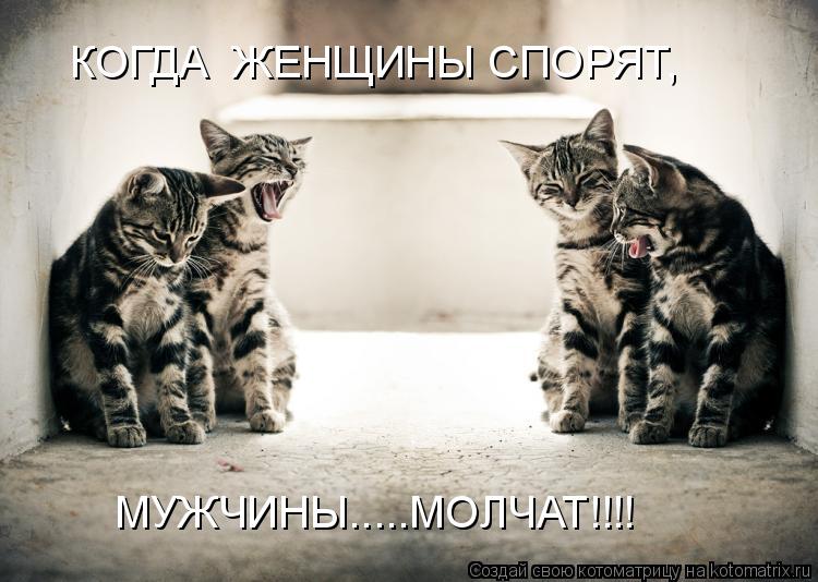 Котоматрица: КОГДА  ЖЕНЩИНЫ СПОРЯТ, МУЖЧИНЫ.....МОЛЧАТ!!!!
