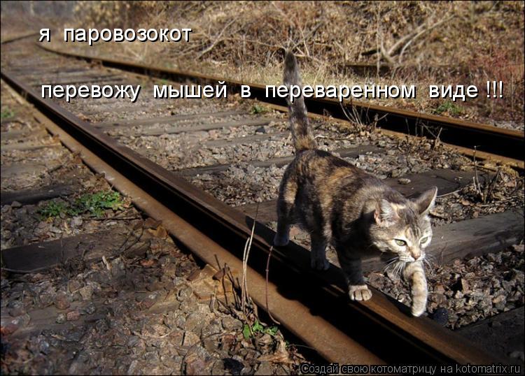 Котоматрица: я  паровозокот   перевожу  мышей  в  переваренном  виде !!!