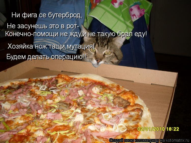 Котоматрица: Ни фига се бутерброд, Не засунешь это в рот- Хозяйка нож тащи,мутация! Будем делать операцию!! Конечно-помощи не жду,и не такую брал еду!