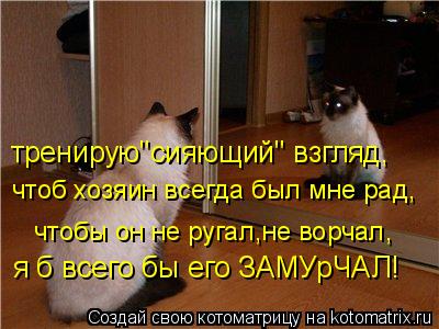Котоматрица: тренирую"сияющий" взгляд, чтоб хозяин всегда был мне рад, чтобы он не ругал,не ворчал, я б всего бы его ЗАМУрЧАЛ!