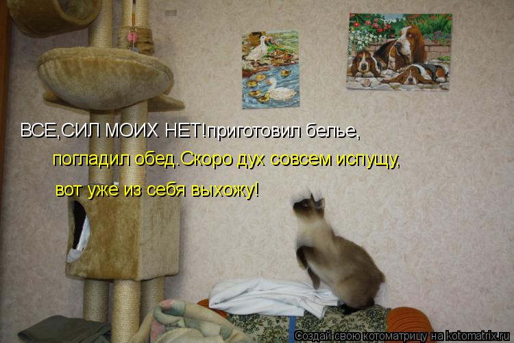 Котоматрица: ВСЕ,СИЛ МОИХ НЕТ!приготовил белье, погладил обед.Скоро дух совсем испущу, вот уже из себя выхожу!