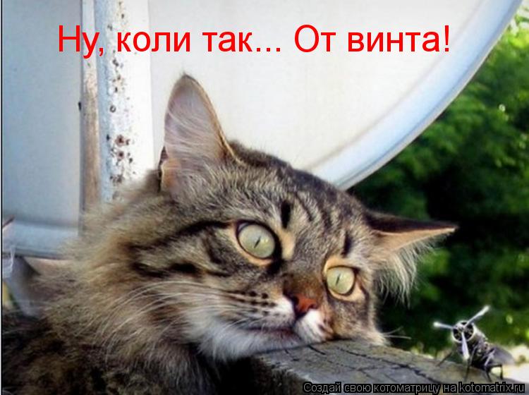 Ну, коли так... От винта!... Котоматрица: Ну, коли так... От винта!