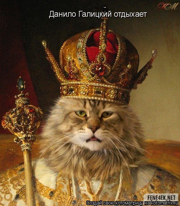 Котоматрица: Данило Галицкий отдыхает