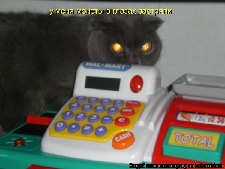 Котоматрица: у меня монеты в глазах застряли