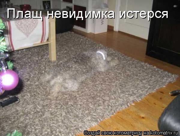 Котоматрица: Плащ невидимка истерся