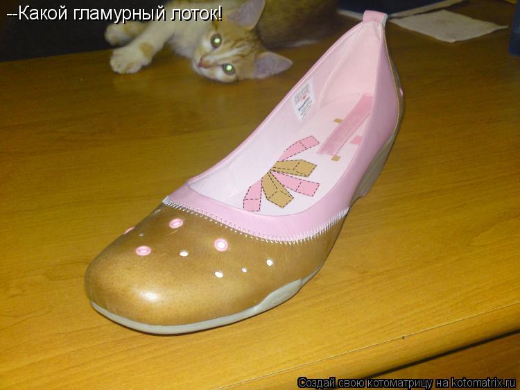 Котоматрица: --Какой гламурный лоток!