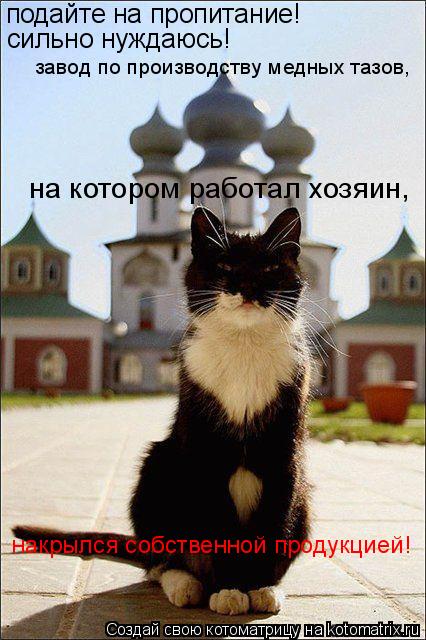 Котоматрица: подайте на пропитание! сильно нуждаюсь! завод по производству медных тазов,  на котором работал хозяин,  накрылся собственной продукцией!