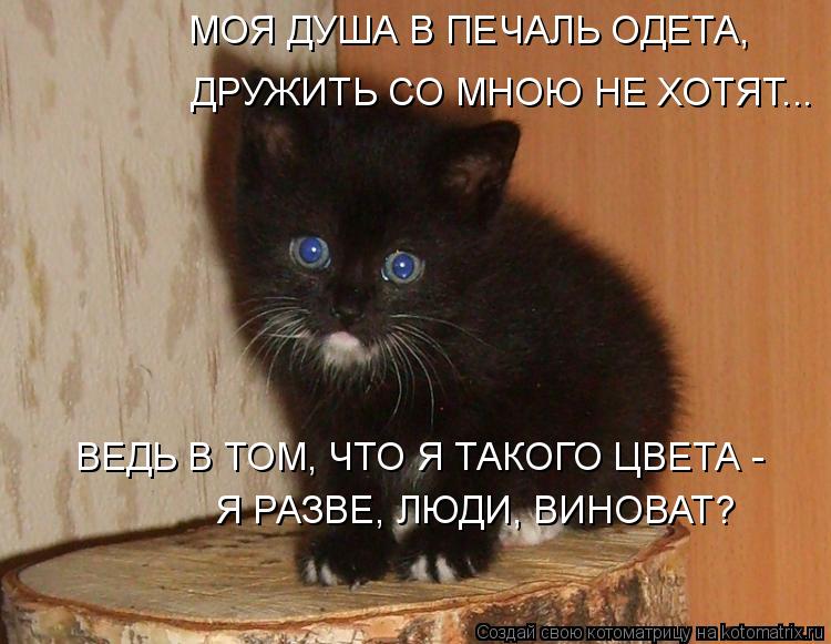 ВЕДЬ В ТОМ, ЧТО Я ТАКОГО ЦВЕТА - Я РАЗВЕ, ЛЮДИ, ВИНОВАТ? МОЯ ДУША В ПЕЧАЛЬ ОДЕТА, ДРУЖИТЬ СО МНОЮ Н... Котоматрица: ВЕДЬ В ТОМ, ЧТО Я ТАКОГО ЦВЕТА - Я РАЗВЕ, ЛЮДИ, ВИНОВАТ? МОЯ ДУША В ПЕЧАЛЬ ОДЕТА, ДРУЖИТЬ СО МНОЮ НЕ ХОТЯТ...