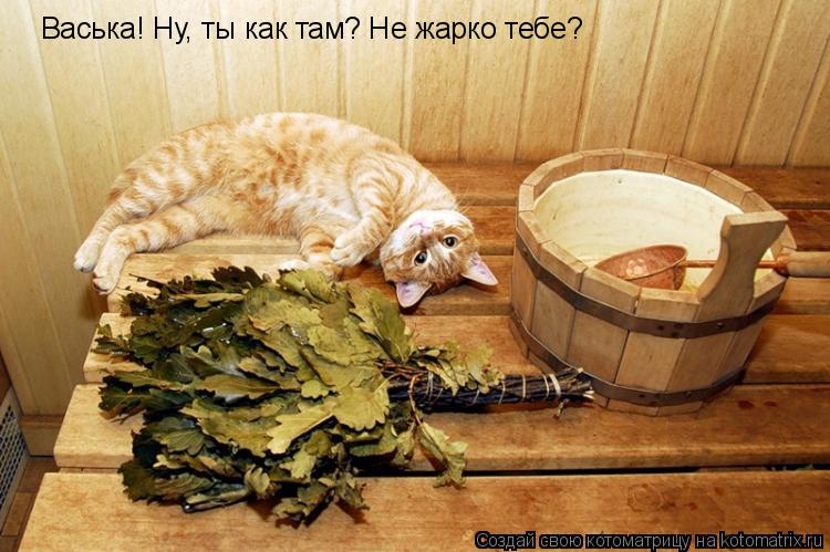 Котоматрица: Васька! Ну, ты как там? Не жарко тебе?