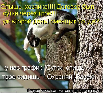 Котоматрица: Слышь, хозяйка!!!! Договор был уж второй день! сменщик-то где?  сутки через трое!!!  -у нас график "Сутки  спишь -  трое сидишь" ! Охраняй, Васёк!
