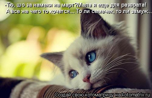 Котоматрица: -Тю, шо за намеки на март?Мала я еще для разврата! А все же чего то хочется... То ли семечек, то ли замуж...