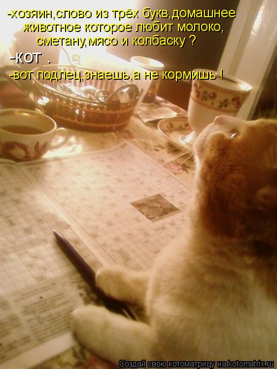 -хозяин,слово из трёх букв,домашнее животное которое любит молоко, сметану,мясо и колбаску ? -кот .... Котоматрица: -хозяин,слово из трёх букв,домашнее животное которое любит молоко, сметану,мясо и колбаску ? -кот . -вот подлец,знаешь,а не кормишь !