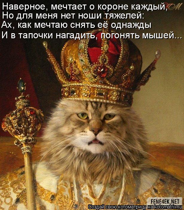 Наверное, мечтает о короне каждый, Но для меня нет ноши тяжелей: Ах, как мечтаю снять её однажды И в ... Котоматрица: Наверное, мечтает о короне каждый, Но для меня нет ноши тяжелей: Ах, как мечтаю снять её однажды И в тапочки нагадить, погонять мышей...