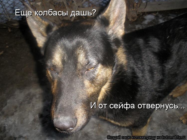 Котоматрица: Еще колбасы дашь? И от сейфа отвернусь...