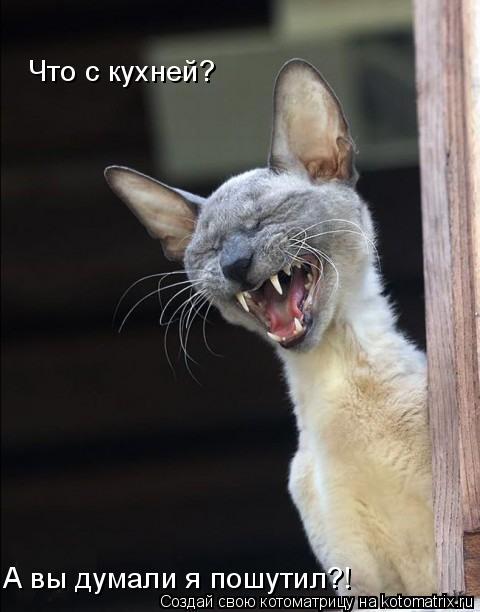 Котоматрица: Что с кухней? А вы думали я пошутил?!
