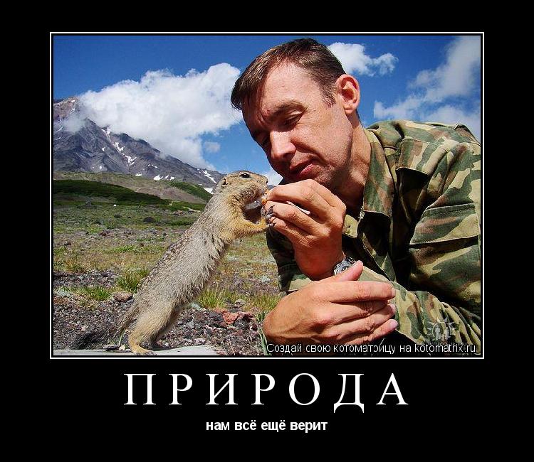 Котоматрица: природа нам всё ещё верит
