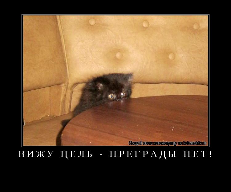 Котоматрица: ВИЖУ ЦЕЛЬ - ПРЕГРАДЫ НЕТ! 