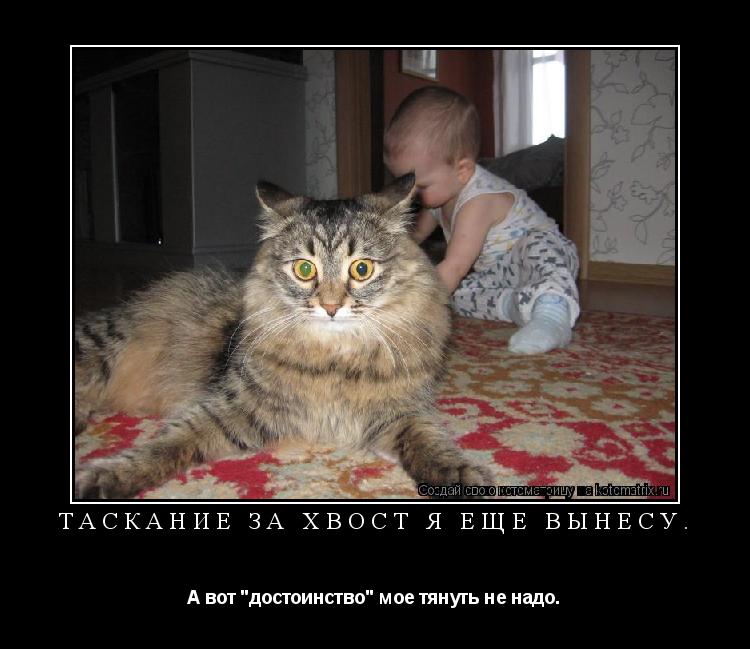 Таскание за хвост я еще вынесу. А вот "достоинство" мое тянуть не надо.... Котоматрица: Таскание за хвост я еще вынесу. А вот "достоинство" мое тянуть не надо.
