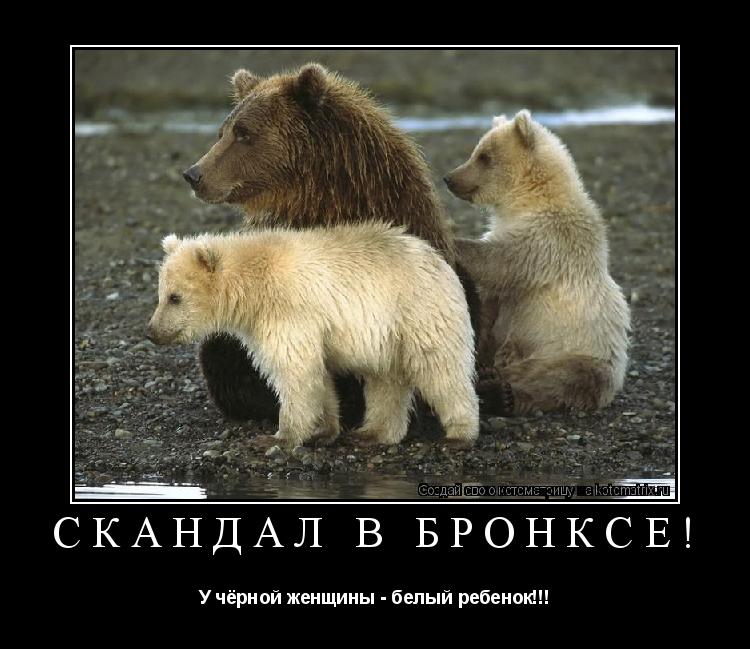 Котоматрица: Скандал в Бронксе! У чёрной женщины - белый ребенок!!!