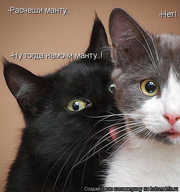Котоматрица: -Расчеши манту... -Нет! -Ну тогда намочи манту..!