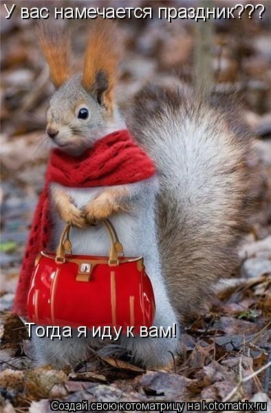 Котоматрица: У вас намечается праздник???  Tогда я иду к вам!