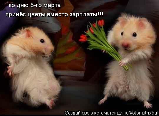 Котоматрица: ко дню 8-го марта  принёс цветы вместо зарплаты!!!