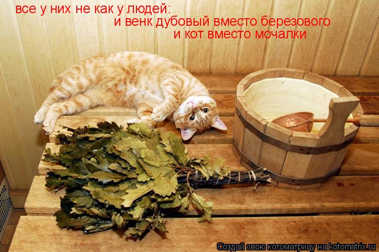 Котоматрица: все у них не как у людей:  и венк дубовый вместо березового и кот вместо мочалки