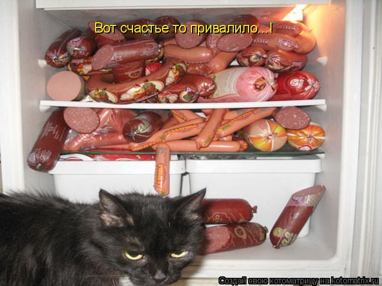 Котоматрица: Вот счастье то привалило...!