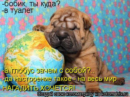 Котоматрица: -бобик, ты куда? -в туалет -а глобус зачем с собой?.. -да настроение такое - на весь мир НАГАДИТЬ ХОЧЕТСЯ!