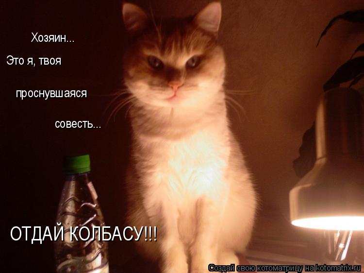 Котоматрица: Хозяин... проснувшаяся  совесть... Это я, твоя ОТДАЙ КОЛБАСУ!!!