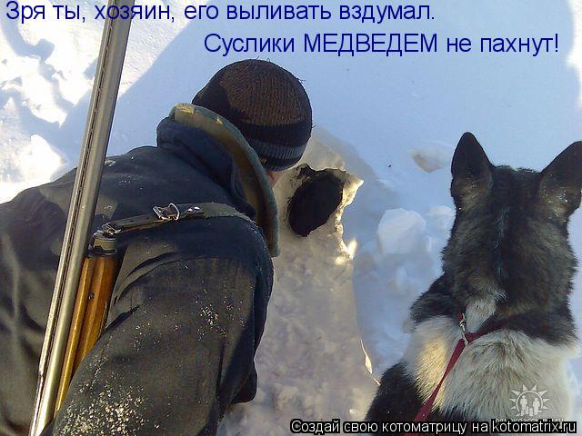Котоматрица: Зря ты, хозяин, его выливать вздумал.  Суслики МЕДВЕДЕМ не пахнут!