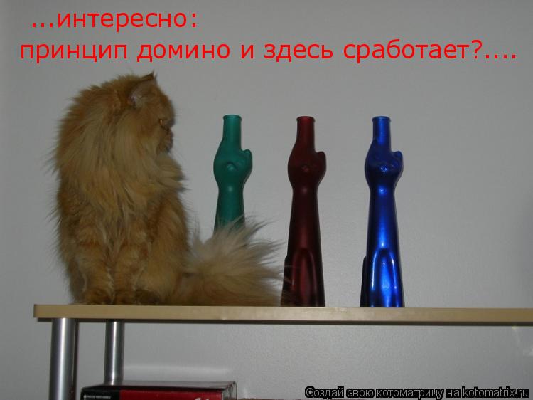 Котоматрица: ...интересно: принцип домино и здесь сработает?....