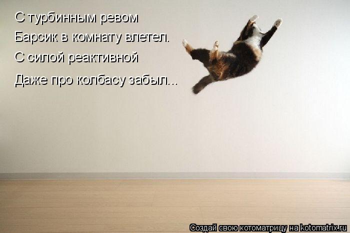 Котоматрица: С турбинным ревом Барсик в комнату влетел. С силой реактивной Даже про колбасу забыл...
