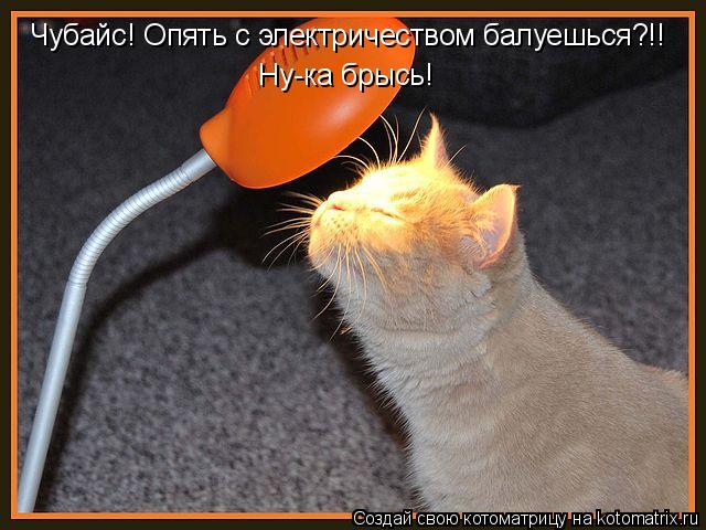 Котоматрица: Чубайс! Опять с электричеством балуешься?!!  Ну-ка брысь!