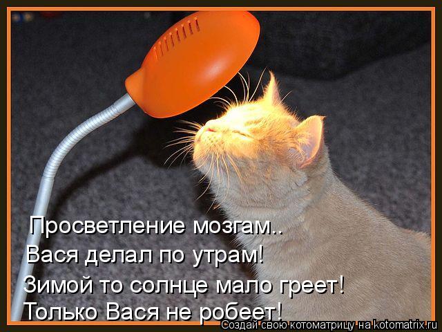 Котоматрица: Просветление мозгам.. Вася делал по утрам! Зимой то солнце мало греет! Только Вася не робеет!